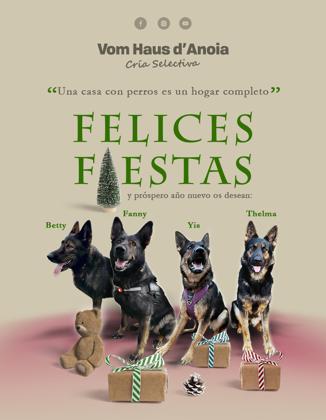 Felices Fiestas