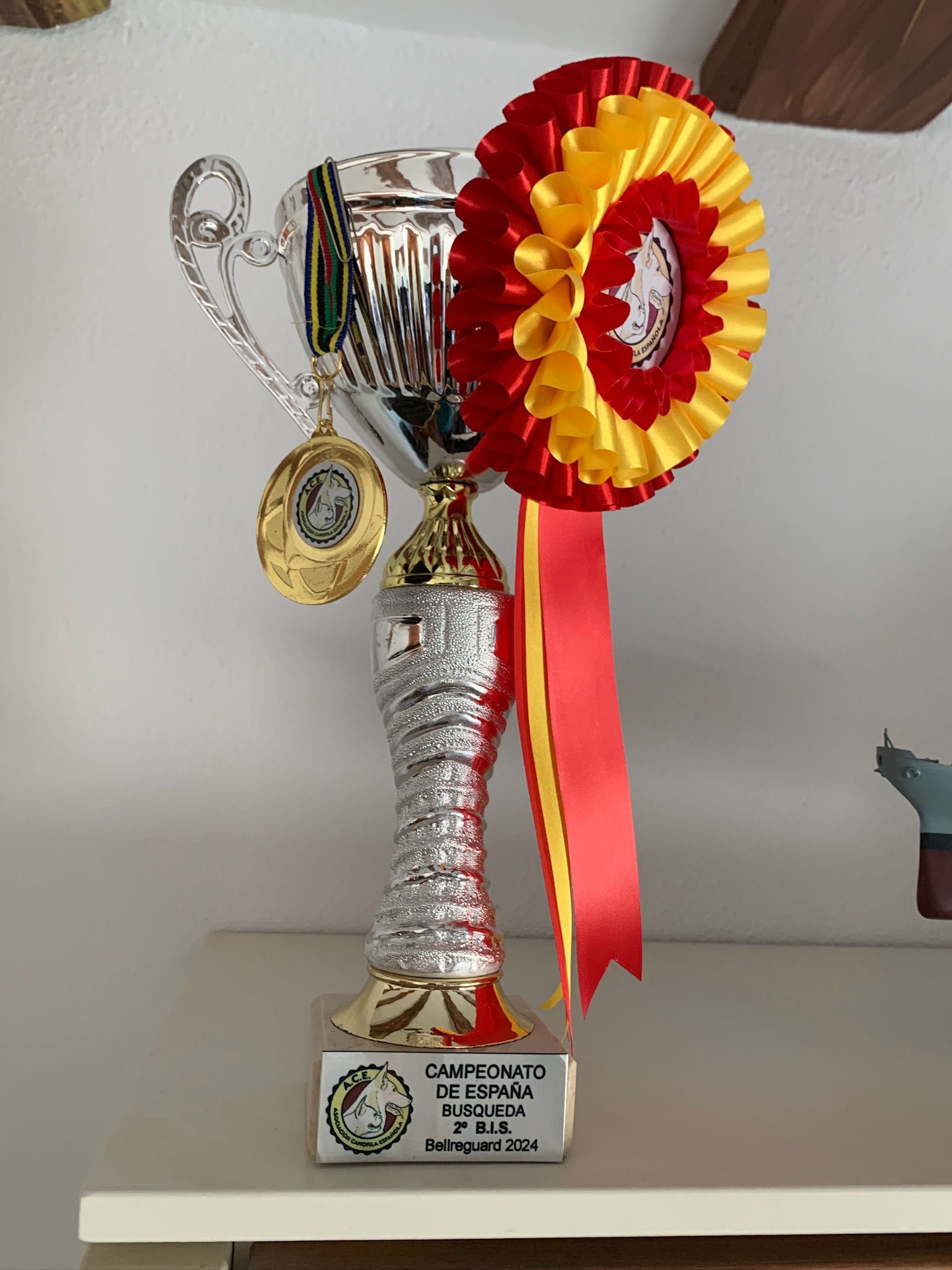 Subcampeona de España