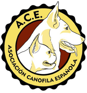 Campeona de España Jr