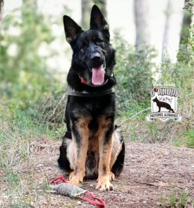 Duc Vom Haus d’Anoia