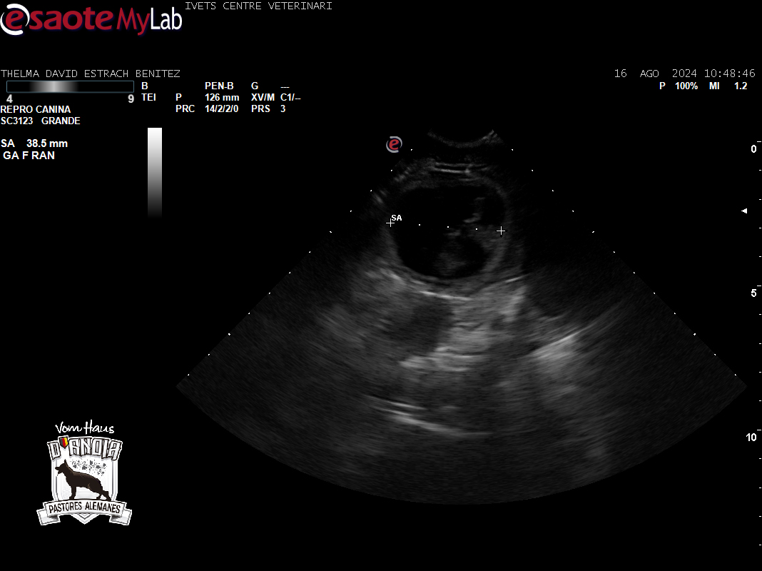 CAMADA F 2024 Segunda Eco