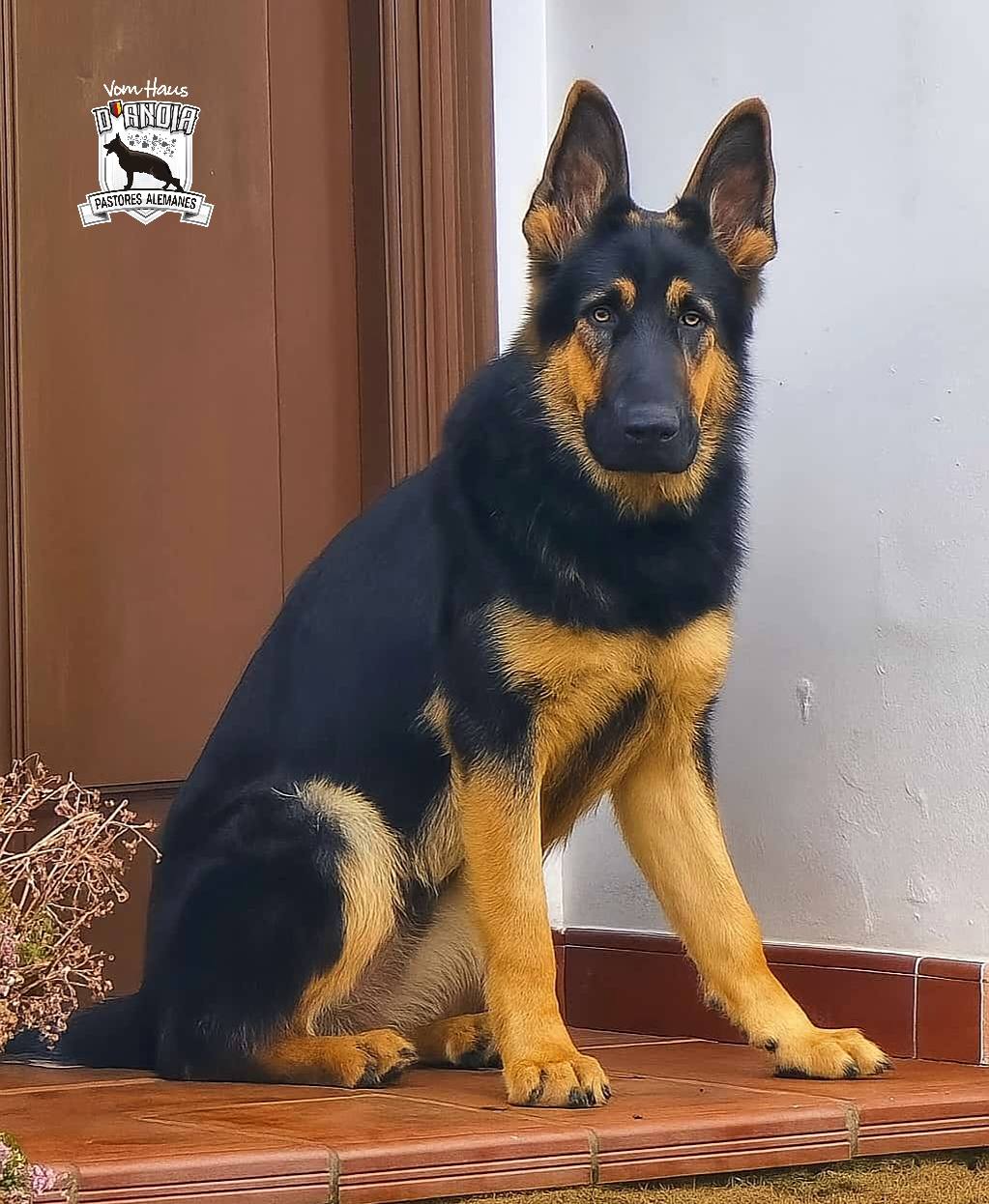 El bicho cumple 10 meses
