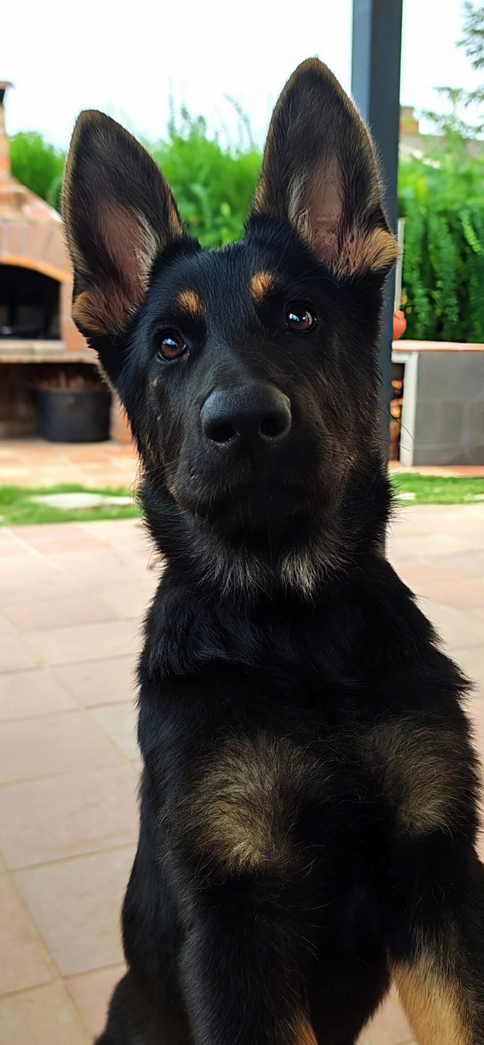 La señora baronesa