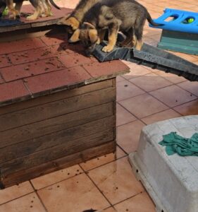 El tobogán ha muerto