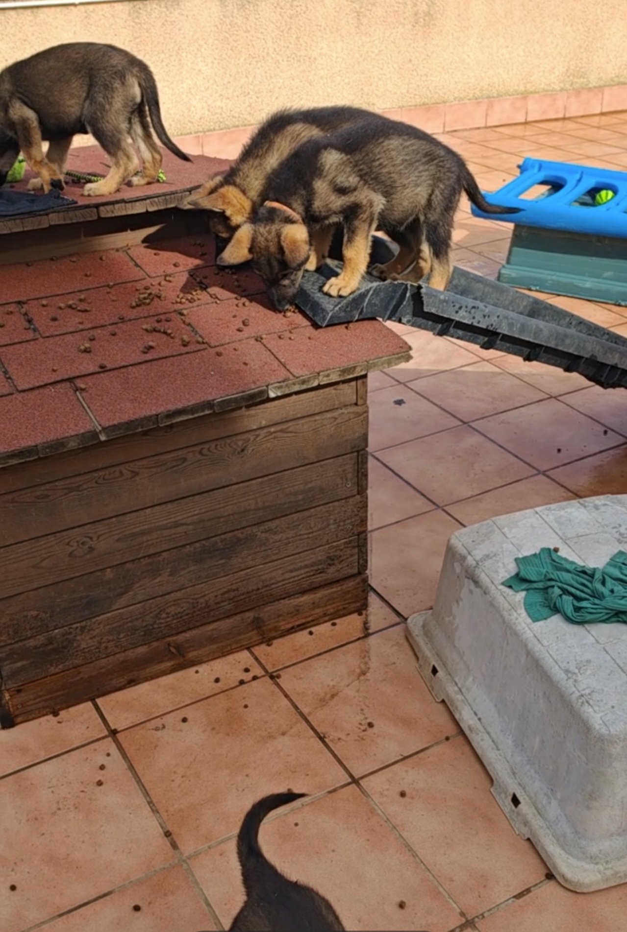 El tobogán ha muerto