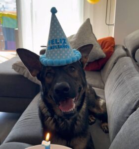 1 añito Ozzy!