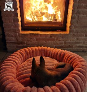 Jessy Vom Haus d’Anoia