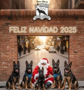 Feliz Navidad!