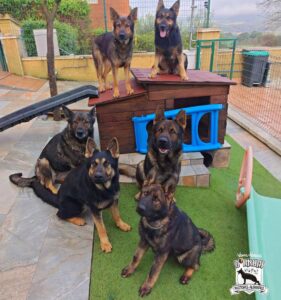 De estreno con Thelma