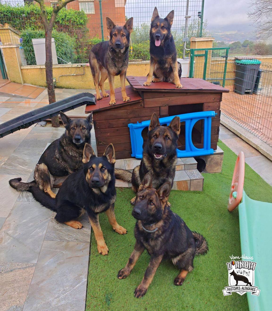 De estreno con Thelma