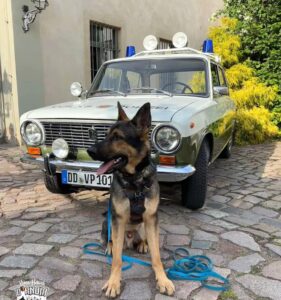 Gibo desde Alemania